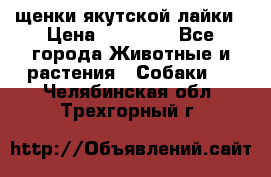 щенки якутской лайки › Цена ­ 15 000 - Все города Животные и растения » Собаки   . Челябинская обл.,Трехгорный г.